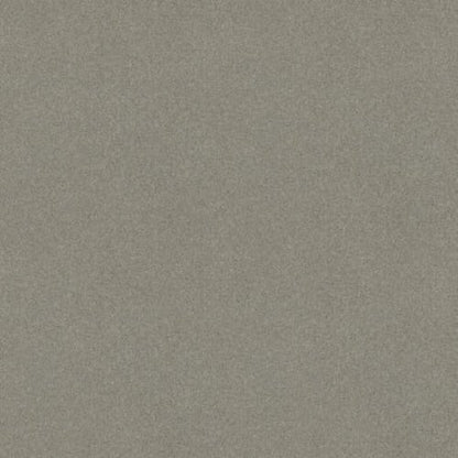 Sandy Hollow III 12' in Silver Charm Carpet