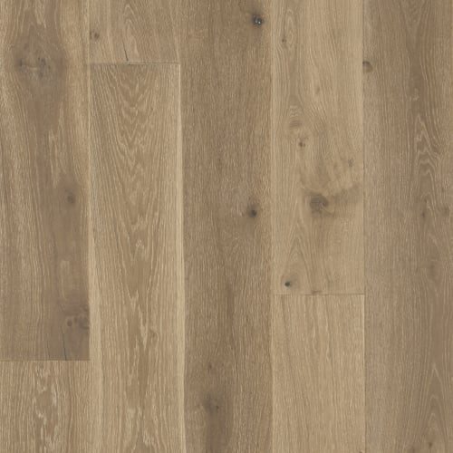 Latitude Collection® - Sanctuary