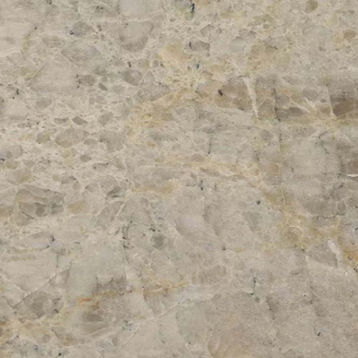 Natural  Quartzite -  Natural Stone Slab in Savoie Natural Stone