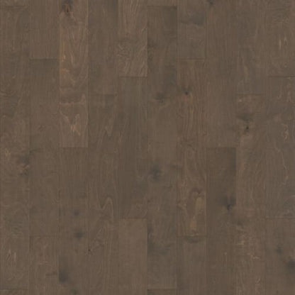Biscayne Bay in Windsurf Hardwood