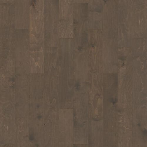 Biscayne Bay in Windsurf Hardwood