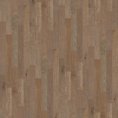 Coral Springs in Oceanside Hardwood
