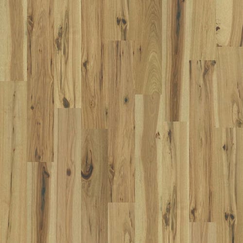 REFLECTIONS HICKORY in Luminous Hardwood