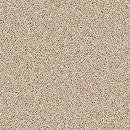 Xv442 in Beach Grass Carpet