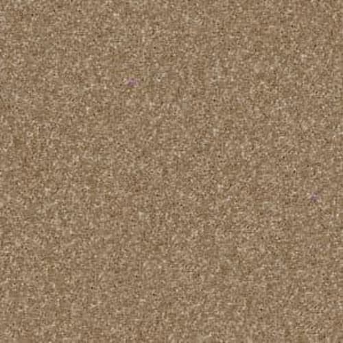 Xv694 in Bridgewater Tan Carpet