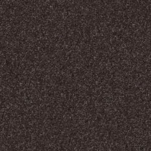 Xv813
