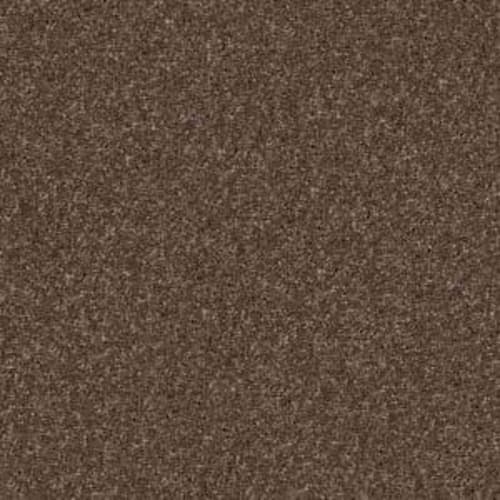 Xv813 in Sedona Carpet