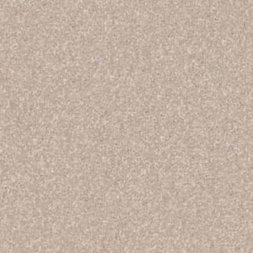 Xv815 in French Canvas Carpet
