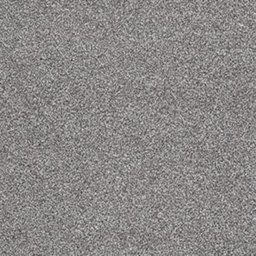 Xv931