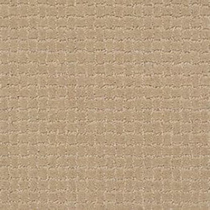 PAWSTRUCK in Monterey Carpet