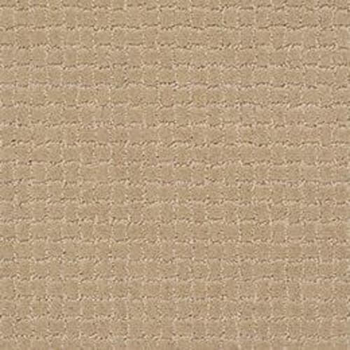 PAWSTRUCK in Monterey Carpet