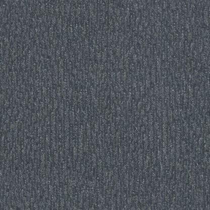 FUR-EVER in Waterbury Carpet