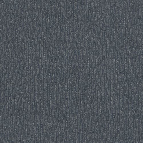 FUR-EVER in Waterbury Carpet