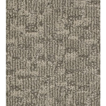 PAW-TAY in Danville Carpet